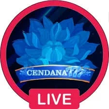 cendana777 Versi Terbaru untuk Android Tanpa Ribet APK Resmi — ikon aplikasi